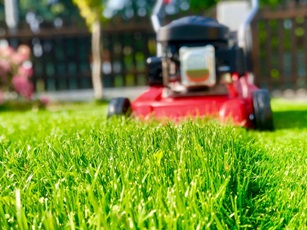 Lawn-mowing-1_resize-2-1024x768.jpg